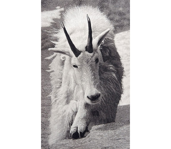 Stephen McMillan "Mountain Goat"